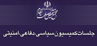 بررسی راهبردهای «ارتقای مشارکت در انتخابات شوراهای شهر و روستا» در کمیسیون سیاسی امنیتی مجمع تشخیص