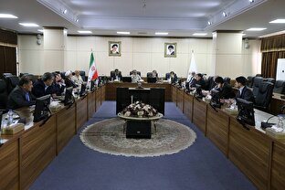 بررسی «احکام برنامه هفتم توسعه با تاکید بر سیاست های کلی اصل 44 قانون اساسی» در کمیسیون اقتصادی مجمع 