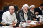 جلسه هیئت عالی نظارت مجمع تشخیص مصلحت نظام 17شهریور1405