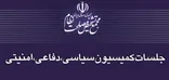 بررسی راهبردهای «ارتقای مشارکت در انتخابات شوراهای شهر و روستا» در کمیسیون سیاسی امنیتی مجمع تشخیص